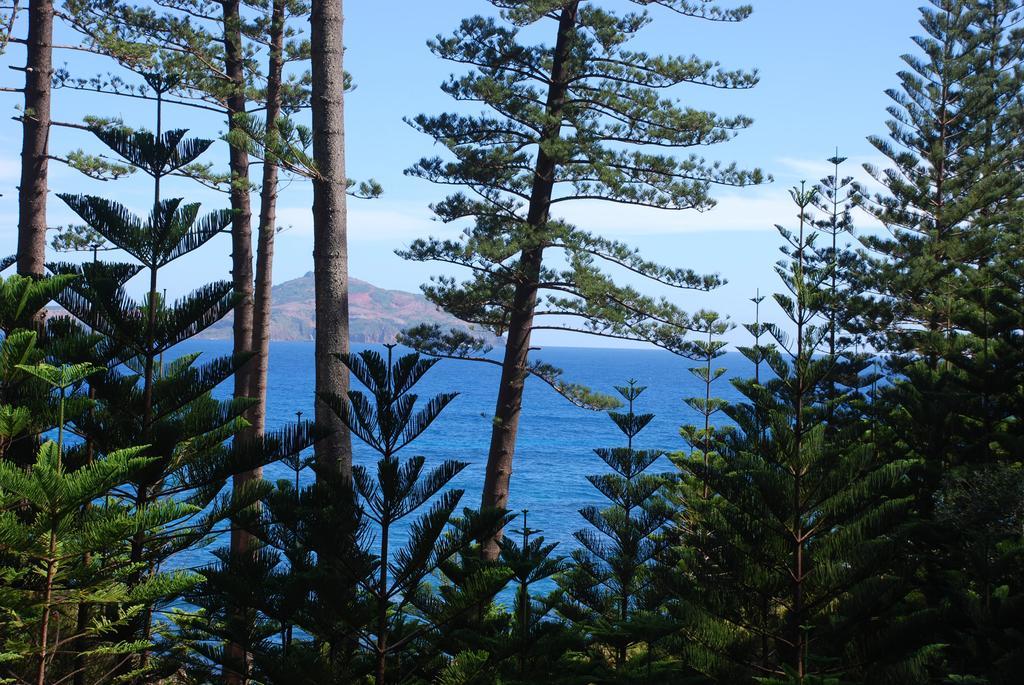 Coast Norfolk Island Διαμέρισμα Burnt Pine Δωμάτιο φωτογραφία